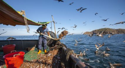 Sector pesquero a ‘pique’ con embargo camaronero de E.U.