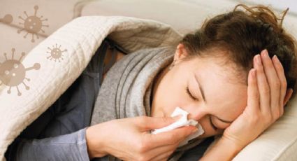 Tras reducción de casos de influenza, expertos creen que podría ser la próxima pandemia