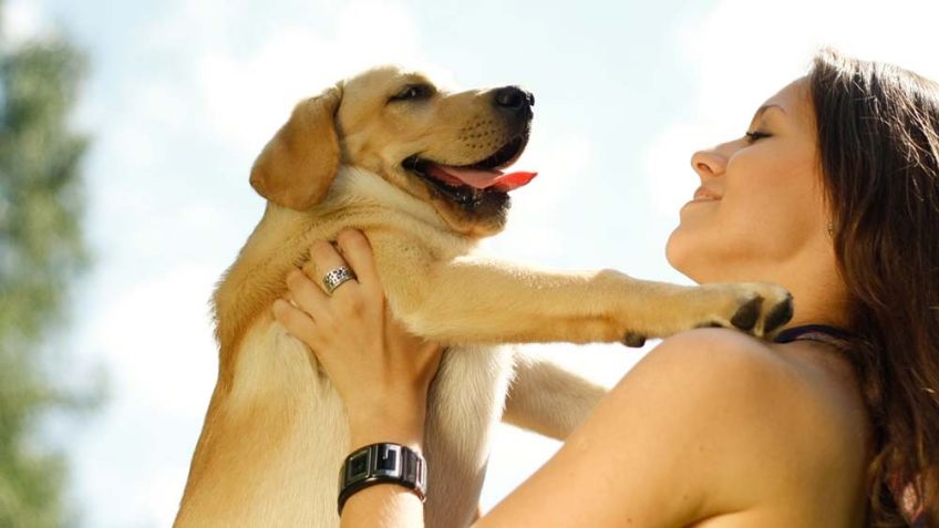 ¡Ten cuidado! Estas son las cosas que  podrían acortar la vida de tu amado perro