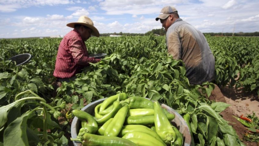 Durango recibirá 500 millones de pesos para proyectos productivos al campo