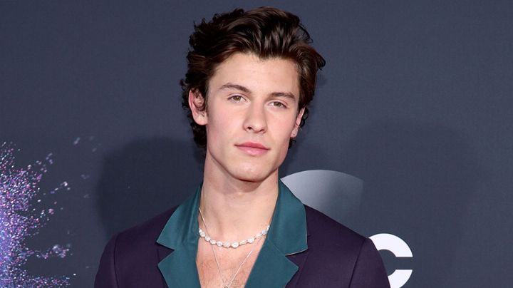 Camila Cabello, en el olvido: Shawn Mendes se deja ver en íntimo momento con nueva pareja