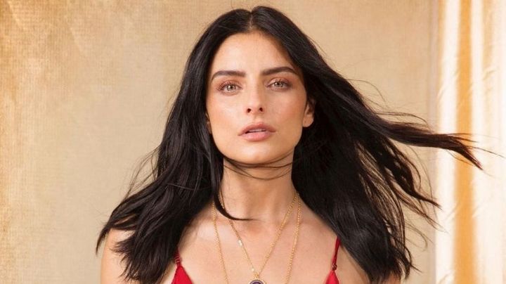 "¡Está increíble!": Aislinn Derbez da cátedra de elegancia y aparece así en Instagram
