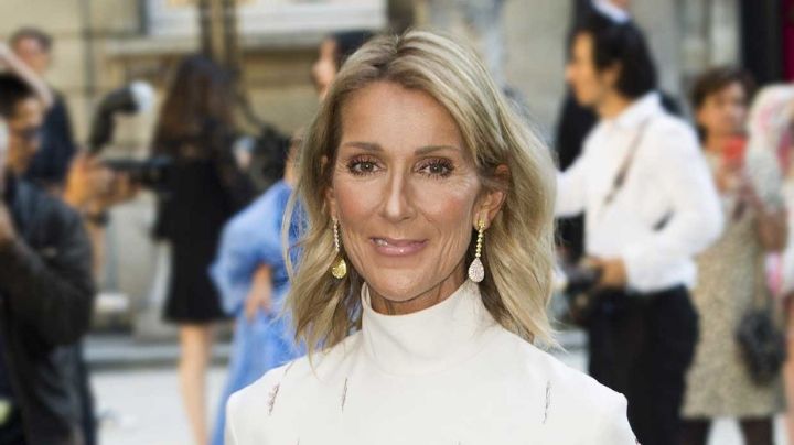 Céline Dion deja su larga trayectoria en la música de lado y se dedicará a la actuación