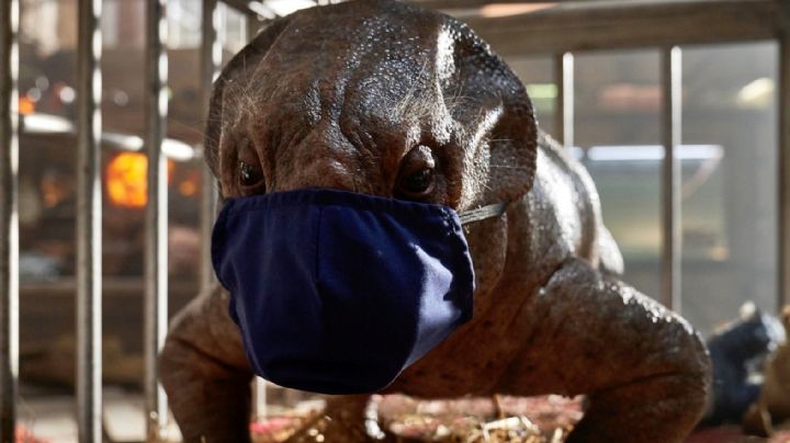 'Jurassic World: Dominion': Suspenden su rodaje y retrasan estreno por coronavirus