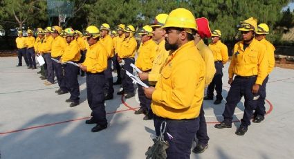 Conafor reporta más de 11 mil hectáreas afectadas por incendios