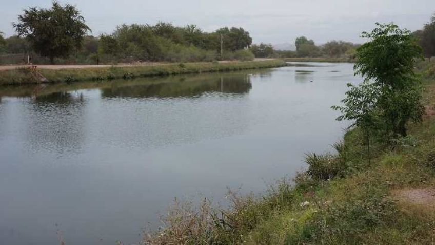Aguas del Valle del Yaqui presentan altos niveles de contaminación