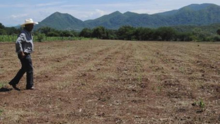 Conagua no da respuesta a los productores sobre la declaratoria de emergencia