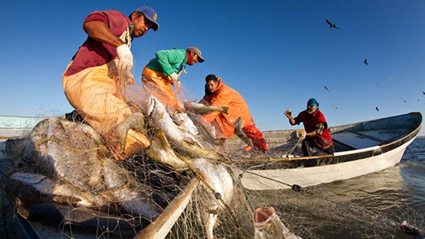 Sagarhpa y Sader acuerdan reuniones sobre embargo pesquero