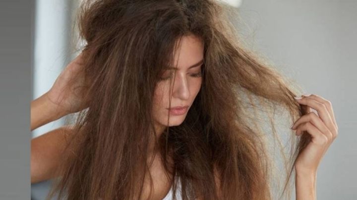 La mejor mascarilla casera para regresar tu cabello a la vida luego de la decoloración