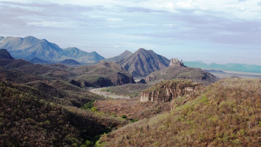 Las mujeres Macurawe son migrantes en su propio estado, luchan por una mejor vida