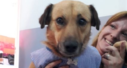 FOTOS: Jardín de niños adopta a perro callejero y es nombrado abanderado