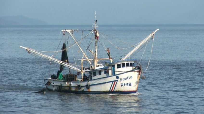 Prestadores de servicios turísticos acusan a barcos sardineros de afectar la pesca deportiva