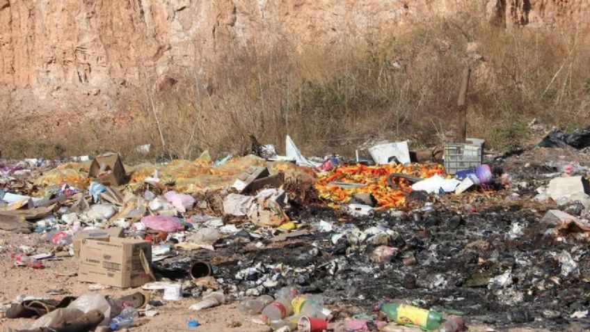 Plan de recolección de basura en Huatabampo genera oportunidad de empleos