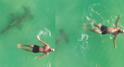 VIDEO: Dron capta el momento en el que nadador se topa con tiburón de 3 metros
