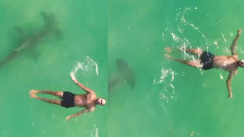 VIDEO: Dron capta el momento en el que nadador se topa con tiburón de 3 metros
