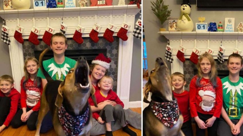 Perrita 'enternece' las redes sociales al posar durante una sesión de fotos familiar