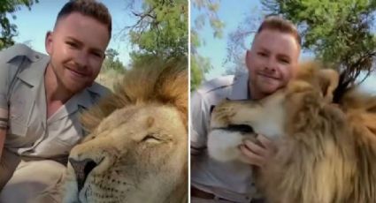 VIDEO: Hombre comparte en TikTok su 'peligrosa' amistad con un gran león