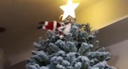 "Ay Papantla tu Santa vuela": Ingenioso adorno navideño se vuelve viral entre internautas