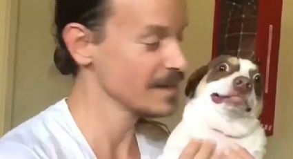 VIDEO: Perrito se hace famoso en Internet por su reacción al cariño de su amo