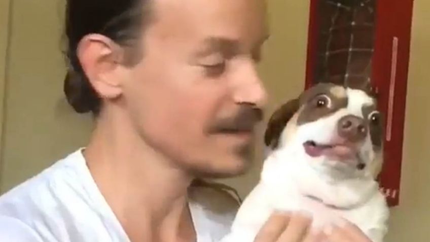VIDEO: Perrito se hace famoso en Internet por su reacción al cariño de su amo