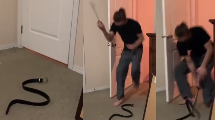 Mujer le juega broma a su esposo con serpiente falsa y su terrorífica reacción se vuelve viral