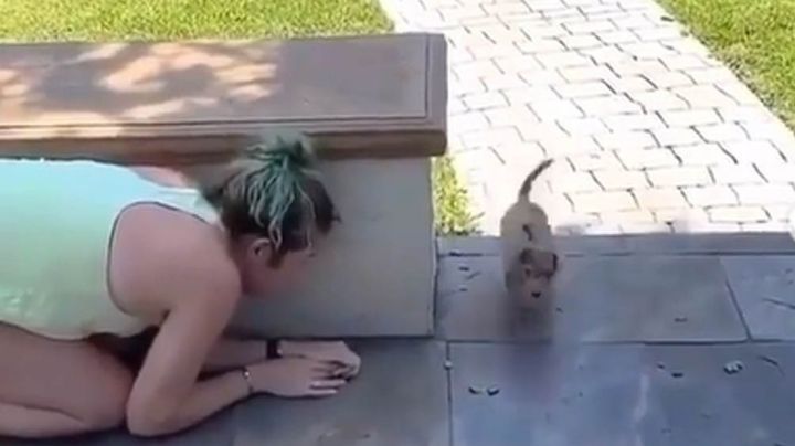 Mujer se gana el odio de todo Internet al darle fuerte susto a pequeño cachorro