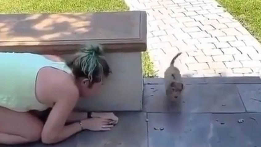 Mujer se gana el odio de todo Internet al darle fuerte susto a pequeño cachorro