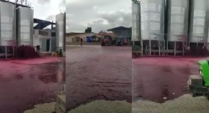 VIDEO: Más de 50 mil litros de vino es derramado y usuarios recuerdan el trágico momento