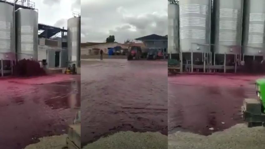 VIDEO: Más de 50 mil litros de vino es derramado y usuarios recuerdan el trágico momento