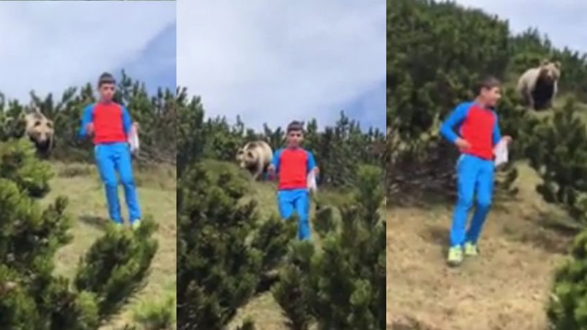 VIDEO: Niño de 12 años es perseguido por gran oso pardo y logra salvarse