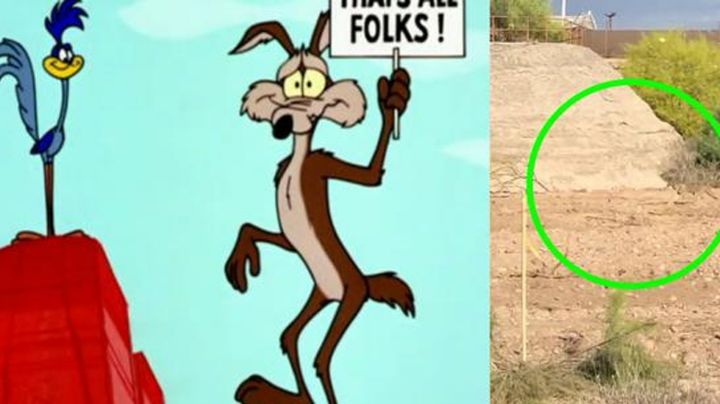 Los 'Looney Tunes' cobran vida; coyote persigue a correcaminos y el video se hace viral