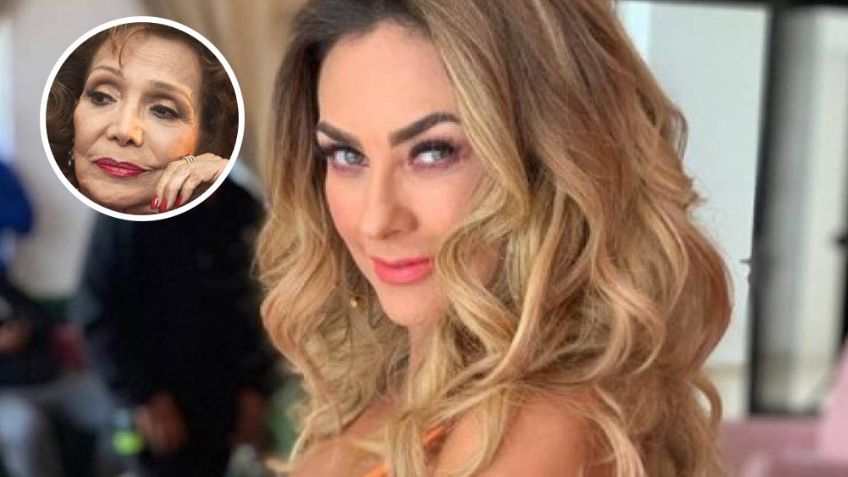 Aracely Arámbula será la encargada de protagonizar la bioserie de María Victoria