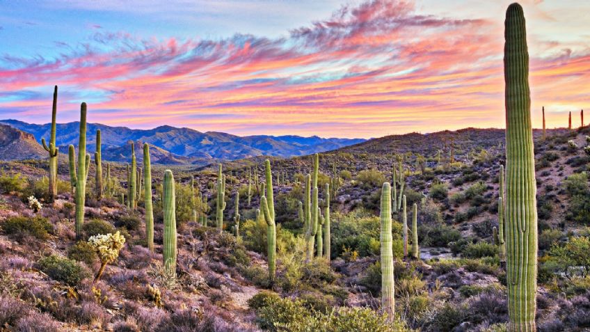 Clima Sonora: ¡Buenas noticias! Pronostican ambiente agradable este martes 4 de mayo