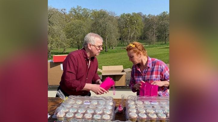 Tras 3 meses oculto, Andrés reaparece al empacar donaciones para hospicios