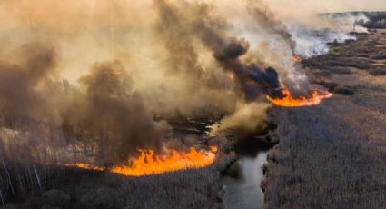 Alerta: Incendio en Chernóbil pondría en riesgo a depósitos de residuos radiactivos