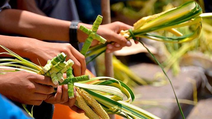 Domingo de Ramos: ¿Por qué se celebra y que significa la cruz de palma?