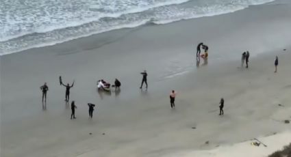 Joven surfista pierde la vida al ser atacado por un tiburón en una playa de California