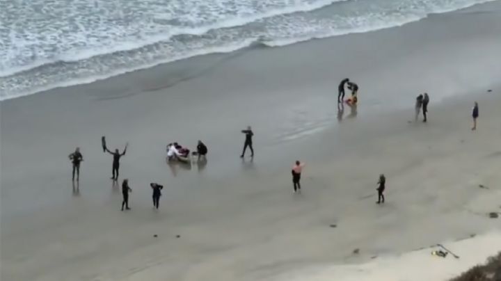 Joven surfista pierde la vida al ser atacado por un tiburón en una playa de California