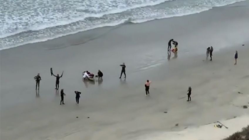 Joven surfista pierde la vida al ser atacado por un tiburón en una playa de California