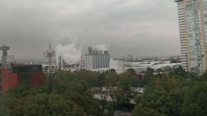 Grupo Modelo desmiente que reanudaran la producción de cerveza