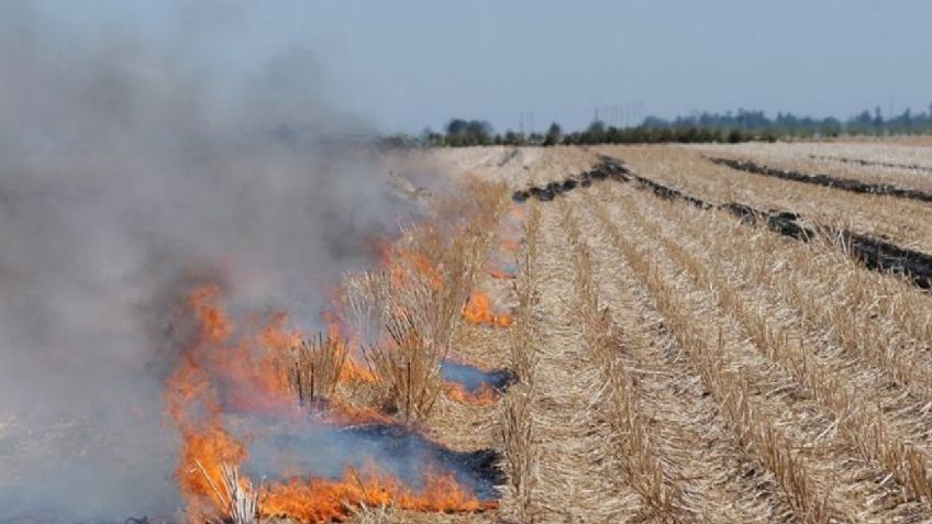 La Dirección de Ecología de Navojoa vigilará que no ocurra la quema de gavilla