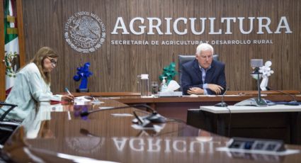 México y Francia buscan una cooperar para impulsar el sector agropecuario