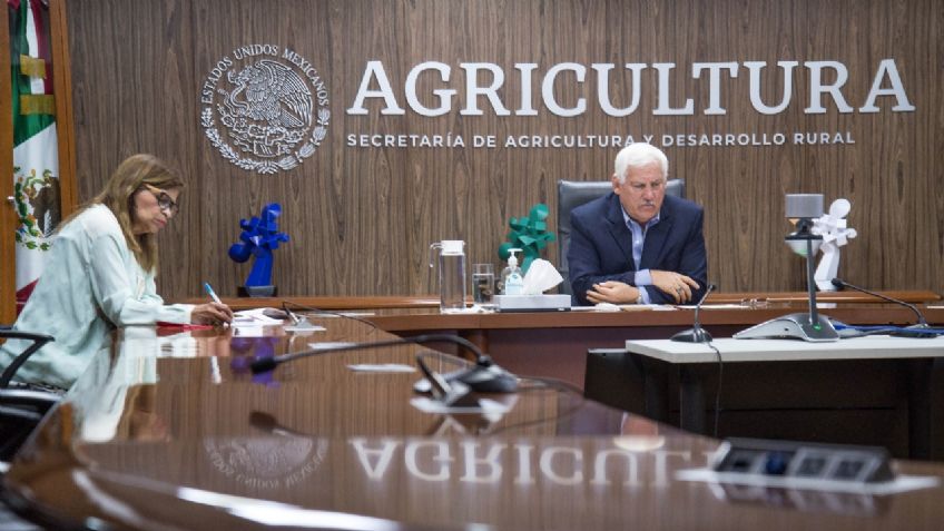 México y Francia buscan una cooperar para impulsar el sector agropecuario