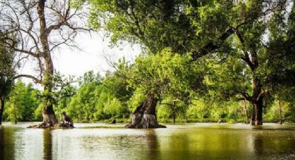 Cesar Granich: “Rescatar la naturaleza es una responsabilidad de todos”