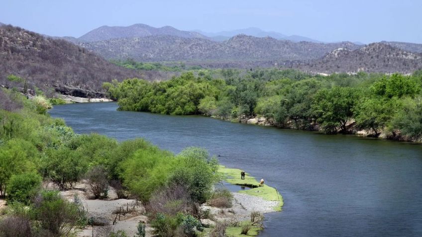 "Acuaférico: Una obra colgada de alfileres": Alejandro Olea Güereña