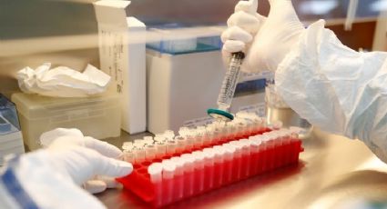 Ayuda Covid-19: Vacuna de Pfizer y BioNTech será revisada para su aprobación en octubre