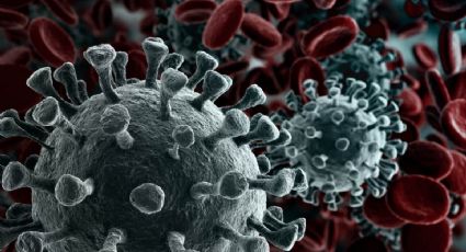 Alerta mundial por nueva cepa de coronavirus 10 veces más infecciosa que Covid-19