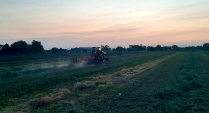 "Presupuesto para 2021 un claro mensaje de desprecio para el campo"