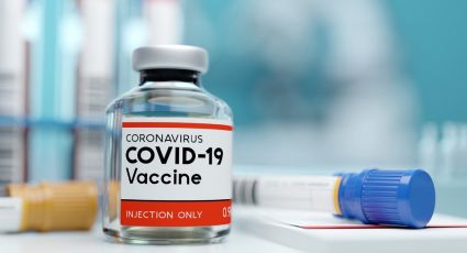Ayuda Covid-19: Pfizer tendría en un mes los resultados de los ensayos de su vacuna