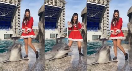 VIDEO: Delfín se viraliza al realizar famosa coreografía de TikTok fuera del agua